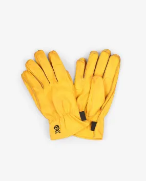 FXS GLOVES